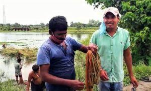 শুক্রবার নবদ্বীপের বাবলারীর বালির পুকুরে দেদার চলল স্থানীয় বাসিন্দাদের জমায়েতের মধ্যে মাছধরা