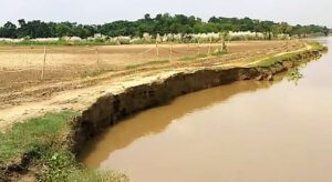 পুজোর আগে ফের নতুন করে ভাগীরথী নদীর ভাঙ্গনে বিপন্ন নবদ্বীপ ব্লকের মহিশুরা গ্রাম পঞ্চায়েতের মালিতাপাড়া সহ তিনটি এলাকার প্রায় হাজারও কৃষিজীবী মানুষজন