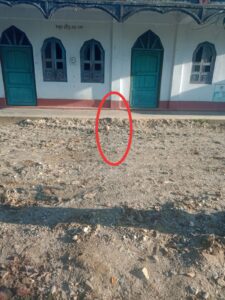 ভবন চত্বরে তাজা বোমা উদ্ধারে চাঞ্চল্য