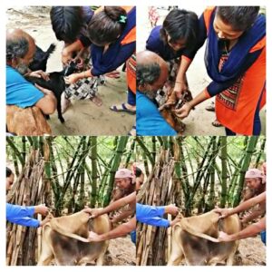 পশ্চিমবঙ্গ সরকারের প্রাণী সম্পদ বিকাশ এবার দুয়ারে বিনামূল্যে ভ্যাকসিন এবং ওষুধপত্র নিয়ে এলো গবাদি পশু এবং গৃহপালিত অন্যান্য প্রাণীদের জন্য